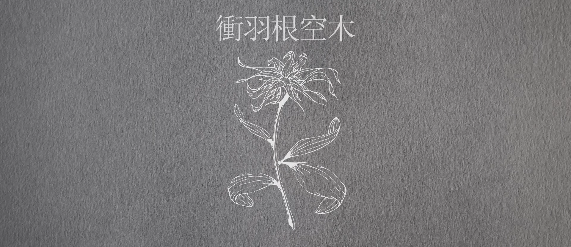 back-image
